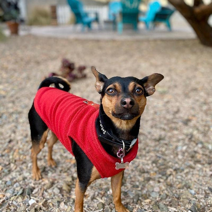 Gooby Fleece Vest Dog Sweater - Red, Small - Warm Pullover Fleece Dog Jacket with O-Ring Leash - Winter Small Dog Sweater Coat - Cold Weather Dog Clothes for Small Dogs Boy or Girl Small (Around 6-lb)