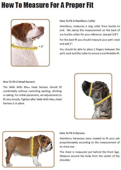 Hamilton Adjustable Comfort Nylon Dog Harness, Lavender, 3/4" x 20-30" Medium, 3/4" x 20-30"