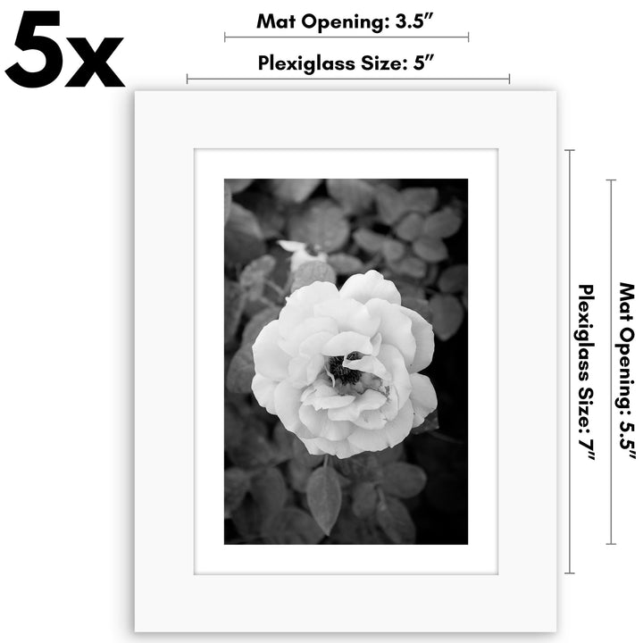 Americanflat 12x16 Picture Frame with Polished Plexiglass - Set of 5 - Use as 8.5x11 Frame with Mat or 12x16 Frame Without Mat - Galleria Collection - Gallery Wall Frame Set for Wall Display - White