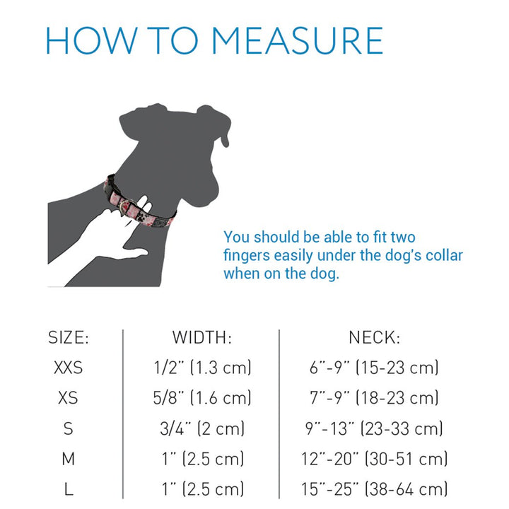 RC Pets 3/4 Inch Adjustable Dog Clip Collar, Small, Pitter Patter Pink S (Neck: 9"-13", Strap Width: 0.75")