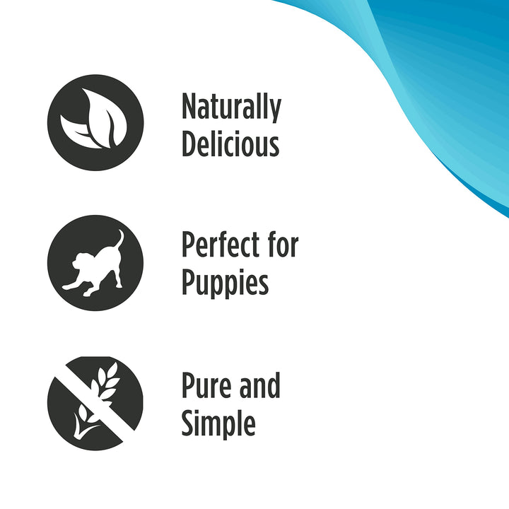 Nulo Freestyle Grain-Free Healthy Dog and Puppy Training Treats, Low Calorie Treats Made with Superfood Boost Ingredients, 2 Calories per Treat Salmon 1 Pound (Pack of 1)