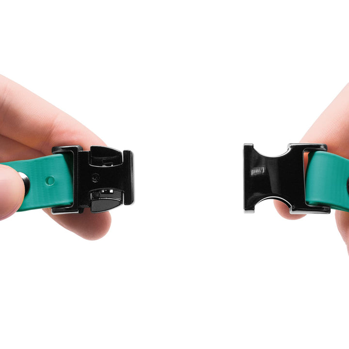 Educator Quick Snap Bungee Dog Collar, Biothane, Waterproof, Odorproof, Easy Connect and Disconnect Clasp and D Ring with Comfort Bungee Loop, Adjustable for Custom Fit, 3/4-Inch, Teal 3/4" Wide Fits 300, 400, 500, 900 Series