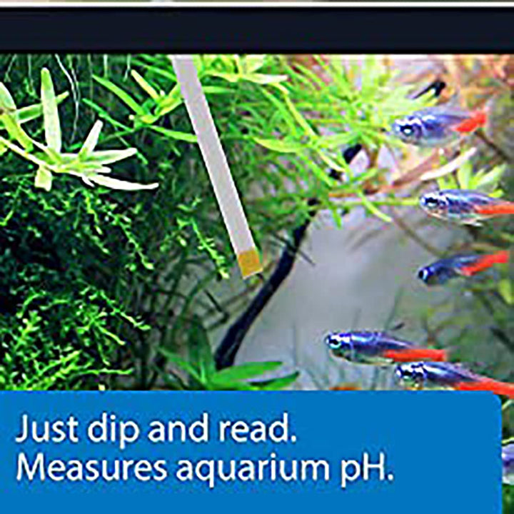 API TEST STRIPS,For Variety of Water Parameters,Monitor aquarium water quality and help prevent invisible water problems that can be harmful to fish,Use weekly and when problems appear,25-Count (33F)