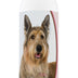 Healthy Breeds Berger Picard Deodorizing Shampoo 16 oz