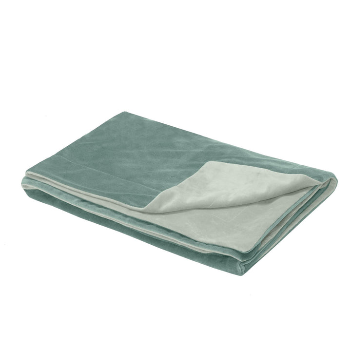 Furhaven Waterproof Throw Blanket for Dogs & Indoor Cats, Washable - Two-Tone Luxe Velvet Dog Blanket - Celadon Green, Large Blanket - Two-tone Luxe Velvet (Celadon Green) 50.0"L x 35.0"W x 0.3"Th Waterproof Only