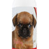 Healthy Breeds Brussels Griffon Tearless Puppy Dog Shampoo 16 oz