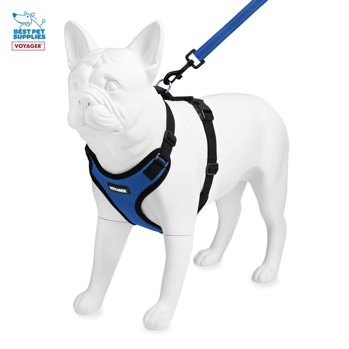 Voyager Step-in Lock Dog Harness w Reflective Dog Leash Combo Set with Neoprene Handle 5ft - Supports Small, Medium and Large Breed Puppies/Cats by Best Pet Supplies - Royal Blue/Black Trim, S Harness Leash Set (Royal Blue/Black Trim) S (Chest: 15 - 18")