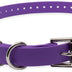 Educator Biothane Dog Collar, Waterproof, Odorproof, Metal Buckle and D Ring, Adjustable for Custom Fit, Cool and Comfortable, for Small, Medium, or Large Dogs, 3/4-Inch, Purple 3/4" Wide Fits 300, 400, 500, 900 Series