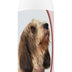 Healthy Breeds Petits Bassets Griffons Vendeen Deodorizing Shampoo 16 oz