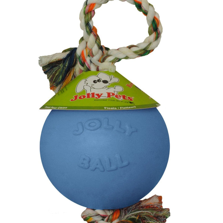 Jolly Pets Romp-n-Roll Rope and Ball Dog Toy, 6 Inches/Medium, Blueberry, Model Number: 606 BB, All Breed Sizes