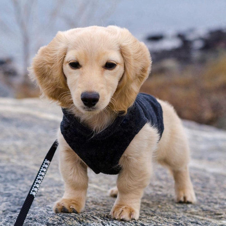 Gooby Fleece Vest Dog Sweater - Black, Large - Warm Pullover Fleece Dog Jacket with O-Ring Leash - Winter Small Dog Sweater Coat - Cold Weather Dog Clothes for Small Dogs Boy or Girl Large (Around 18-lb)