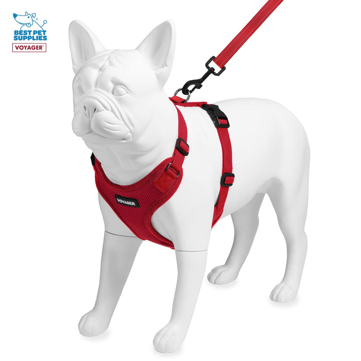 Voyager Step-in Lock Dog Harness w Reflective Dog Leash Combo Set with Neoprene Handle 5ft - Supports Small, Medium and Large Breed Puppies/Cats by Best Pet Supplies - Red, L Harness Leash Set (Red) L (Chest: 20 - 25")