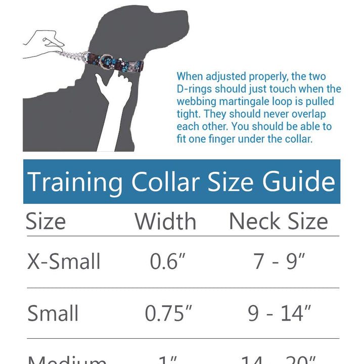RC Pets 1" Martingale Training Collar, Medium, Pitter Patter Chocolate