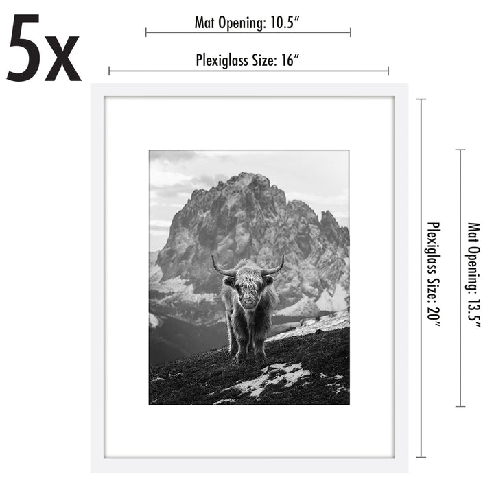 Americanflat 12x16 Picture Frame with Polished Plexiglass - Set of 5 - Use as 8.5x11 Frame with Mat or 12x16 Frame Without Mat - Galleria Collection - Gallery Wall Frame Set for Wall Display - White