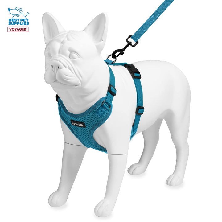 Voyager Step-in Lock Dog Harness w Reflective Dog Leash Combo Set with Neoprene Handle 5ft - Supports Small, Medium and Large Breed Puppies/Cats by Best Pet Supplies - Turquoise, XS Harness Leash Set (Turquoise) XS (Chest: 13 - 16" * Fit Cats)