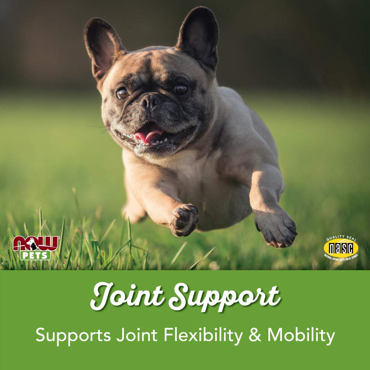 NOW Pet Health, Joint Support Supplement, Formulated for Cats & Dogs, NASC Certified, 90 Chewable Tablets