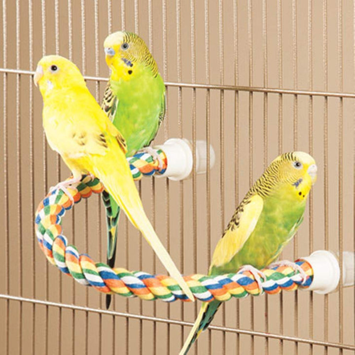 JW Pet Comfy Perch For Birds Flexible Multi-color Rope, Large - 21" Length 21"