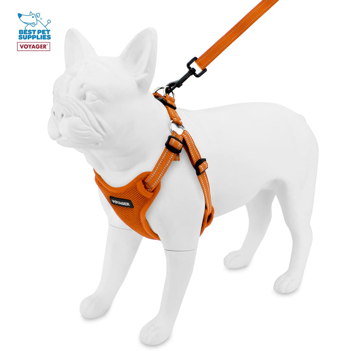 Best Pet Supplies Voyager Adjustable Dog Harness Leash Set with Reflective Stripes for Walking Heavy-Duty Full Body No Pull Vest with Leash D-Ring, Breathable All-Weather - Harness (Orange), L Harness Leash Set (Orange) L (Chest: 20 - 25")