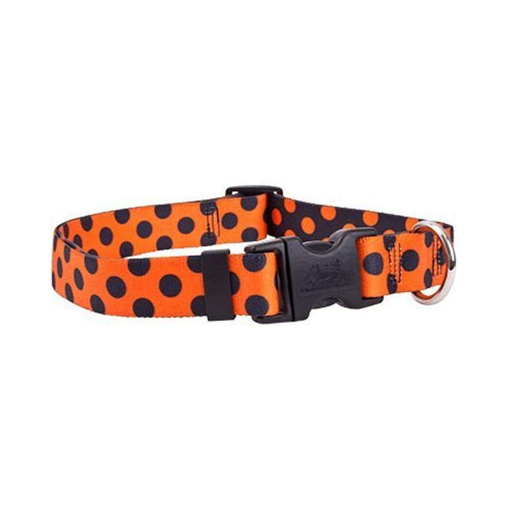 Yellow Dog Design Standard Easy-Snap Collar, Halloween Polka Dot, Large 18" - 28" Large 18" - 28"