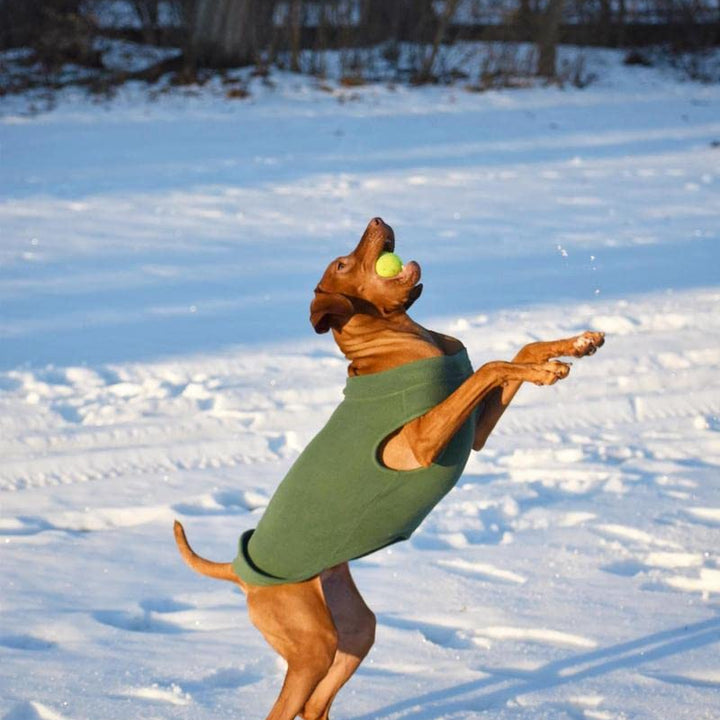 Gooby Stretch Fleece Vest Dog Sweater - Brown, 3X-Large - Warm Pullover Fleece Dog Jacket - Winter Dog Clothes for Small Dogs Boy or Girl - Dog Sweaters for Small Dogs to Dog Sweaters for Large Dogs 3X-Large Length (20.5")