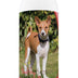 Healthy Breeds Basenji Tearless Puppy Dog Shampoo 16 oz