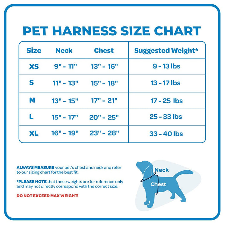 Best Pet Supplies Voyager Adjustable Dog Harness with Reflective Stripes for Walking, Jogging, Heavy-Duty Full Body No Pull Vest with Leash D-Ring, Breathable All-Weather - Harness (Turquoise), M