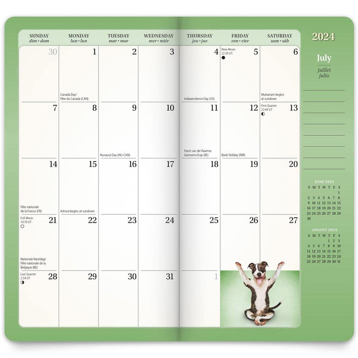 Yoga Puppies OFFICIAL | 2024-2025 3.5 x 6.5 Inch Two Year Monthly Pocket Planner | BrownTrout | Animals Humor Puppy Canine Pets