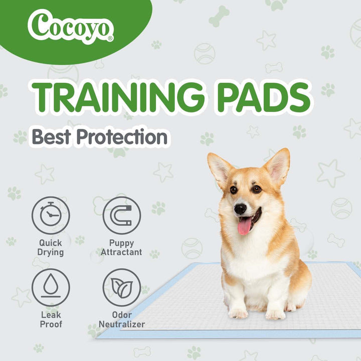 COCOYO Earth Friendly Bamboo Training Pads | Eco Friendly Puppy Pads for All Dogs | 100 Super Absorbent Puppy Training Pads, Deodorizing Dog Training Pads for Pets 22" x 22" Bamboo