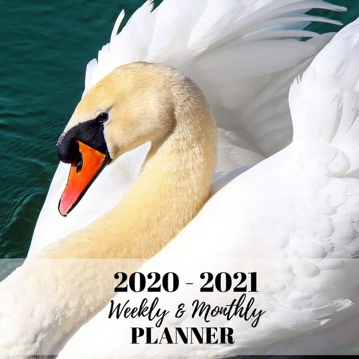 Weekly and Monthly Planner: Organize Your Daily Activies At Home School And Office - Graceful White Swan (2020-2021)