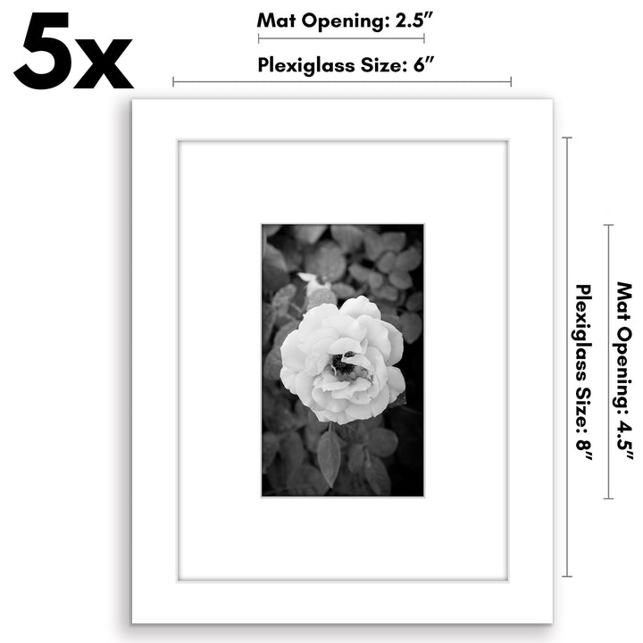 Americanflat 12x16 Picture Frame with Polished Plexiglass - Set of 5 - Use as 8.5x11 Frame with Mat or 12x16 Frame Without Mat - Galleria Collection - Gallery Wall Frame Set for Wall Display - White