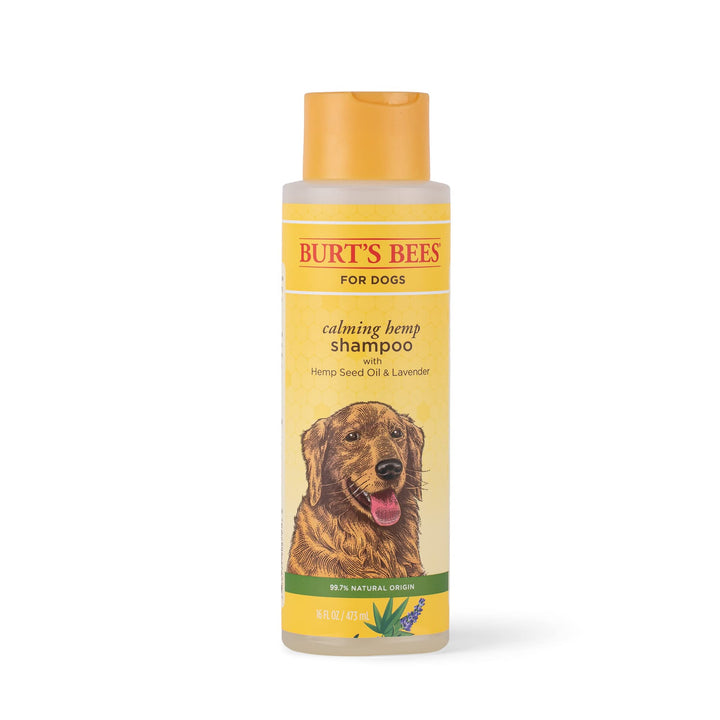 Burt's Bees for Pets Calming Hemp Shampoo | Burt's Bees Dog Shampoo with Hemp Seed Oil & Lavender Made with Natural Ingredients | Hemp Dog Shampoo, pH Balanced for Dogs, 16 Fl Oz 16 Fl Oz (Pack of 1)