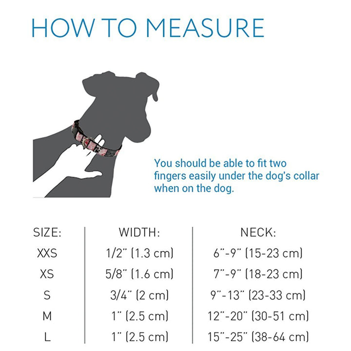 RC Pets 5/8 Inch Adjustable Dog Clip Collar, X-Small, Comic Sounds X-Small - 0.6" Width