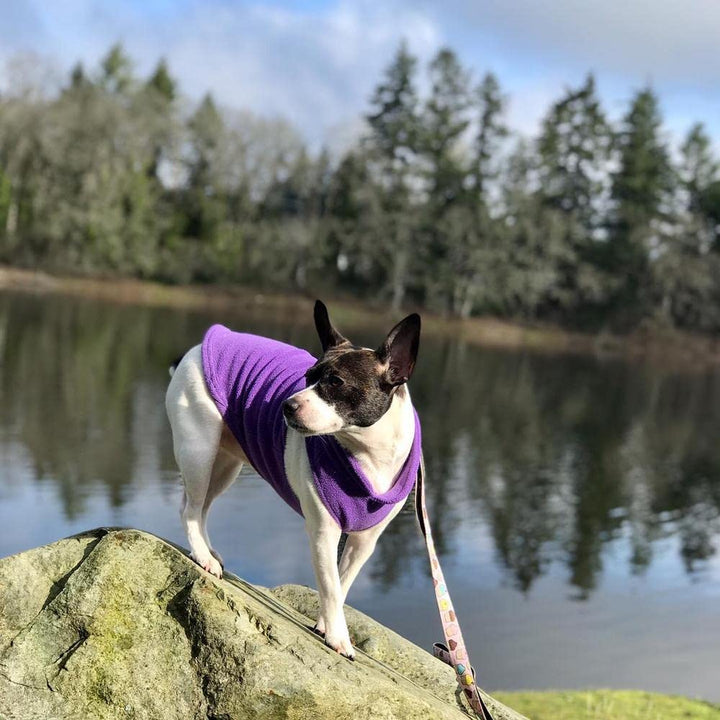 Gooby Fleece Vest Dog Sweater - Lavender, X-Small - Warm Pullover Fleece Dog Jacket with O-Ring Leash - Winter Small Dog Sweater Coat - Cold Weather Dog Clothes for Small Dogs Boy or Girl X-Small (Around 4-lb)