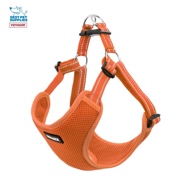 Best Pet Supplies Voyager Adjustable Dog Harness Leash Set with Reflective Stripes for Walking Heavy-Duty Full Body No Pull Vest with Leash D-Ring, Breathable All-Weather - Harness (Orange), L Harness Leash Set (Orange) L (Chest: 20 - 25")