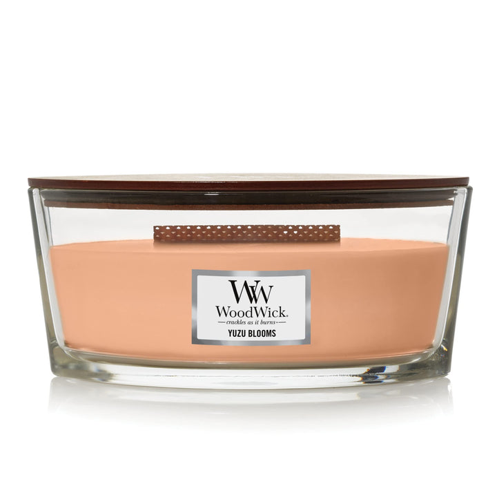 WoodWick Antiquarium Medium Hourglass Candle