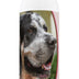 Healthy Breeds Bluetick Coonhound Deodorizing Shampoo 16 oz