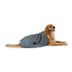 Bone Dry Pet Grooming Towel Collection Absorbent Microfiber X-Large, 41x23.5", Striped Navy