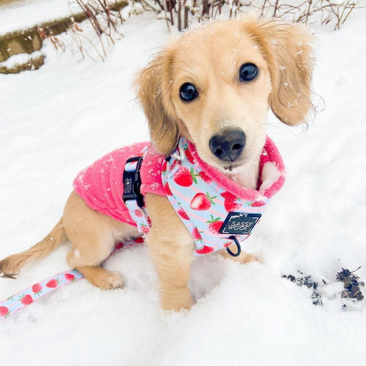 Gooby Stretch Fleece Vest Dog Sweater - Pink, Large - Warm Pullover Fleece Dog Jacket - Winter Dog Clothes for Small Dogs Boy or Girl - Dog Sweaters for Small Dogs to Dog Sweaters for Large Dogs Large Length (13.5")