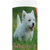 Healthy Breeds West Highland White Terrier Tearless Puppy Dog Shampoo 16 oz