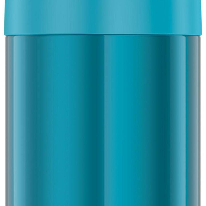 THERMOS FUNTAINER 12 Ounce Stainless Steel Vacuum Insulated Kids Straw Bottle, Teal