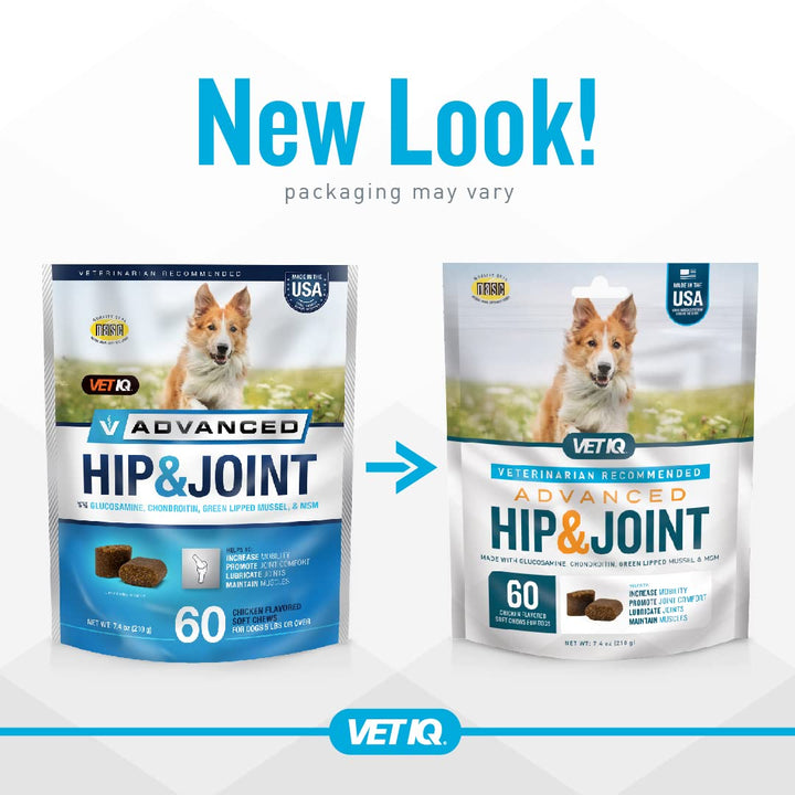 VetIQ Advanced Hip & Joint Chews For Dogs, 60 Count, Chicken Flavored Supplements Made with Glucosamine, Omega 3’s, Chondroitin, MSM, and Green Lipped Mussel, Increases Mobility and Maintains Muscles Advanced Strength 7.4 Ounce (Pack of 1)
