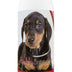 Healthy Breeds German Pinscher Tearless Puppy Dog Shampoo 16 oz
