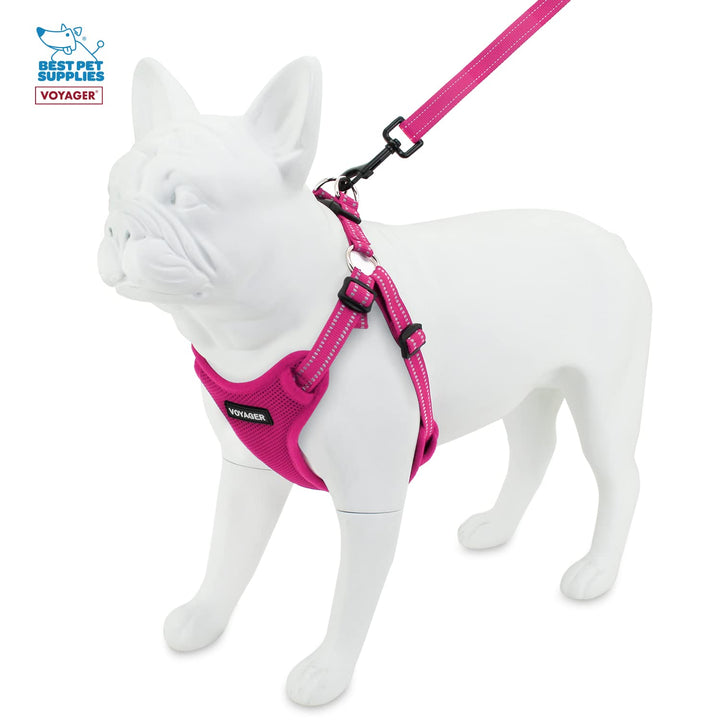 Best Pet Supplies Voyager Adjustable Dog Harness Leash Set with Reflective Stripes for Walking Heavy-Duty Full Body No Pull Vest with Leash D-Ring, Breathable All-Weather - Harness (Fuchsia), S Harness Leash Set (Fuchsia) S (Chest: 15 - 18")