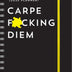 2025 Carpe F*cking Diem Planner: 17-Month Weekly Organizer with Stickers to Get Shit Done Monthly (Thru December 2025) (Calendars & Gifts to Swear By)