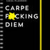 2024 Carpe F*cking Diem Planner: 17-Month Weekly Organizer with Stickers to Get Shit Done Monthly (Thru December 2024)