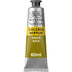 Winsor & Newton Galeria Acrylic Color, 60ml (2-oz) Tube, Green Gold 2-oz Tube