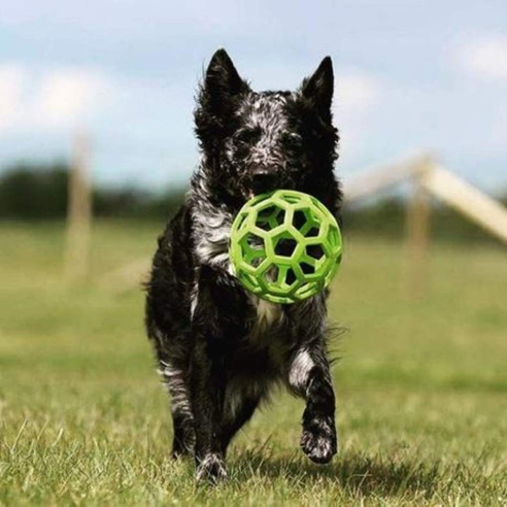 JW Pet Hol-ee Roller Dog Toy Puzzle Ball, Natural Rubber, Extra Large (7.5 Inch Diameter), Colors May Vary X-Large