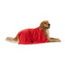 Bone Dry Pet Grooming Towel Collection Absorbent Microfiber X-Large, 41x23.5", Embroidered Red