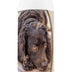 Healthy Breeds American Water Spaniel Oatmeal Shampoo with Aloe 16 oz