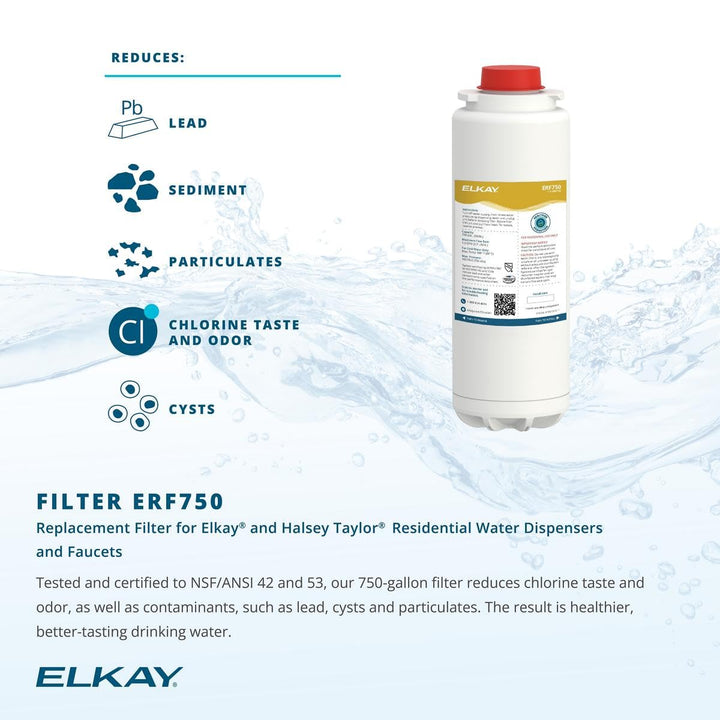 Elkay ERF750 WaterSentry Lead + Microplastics NSF/ANSI Certified Residential Filter (ezH2O Liv & Filtered Faucet)